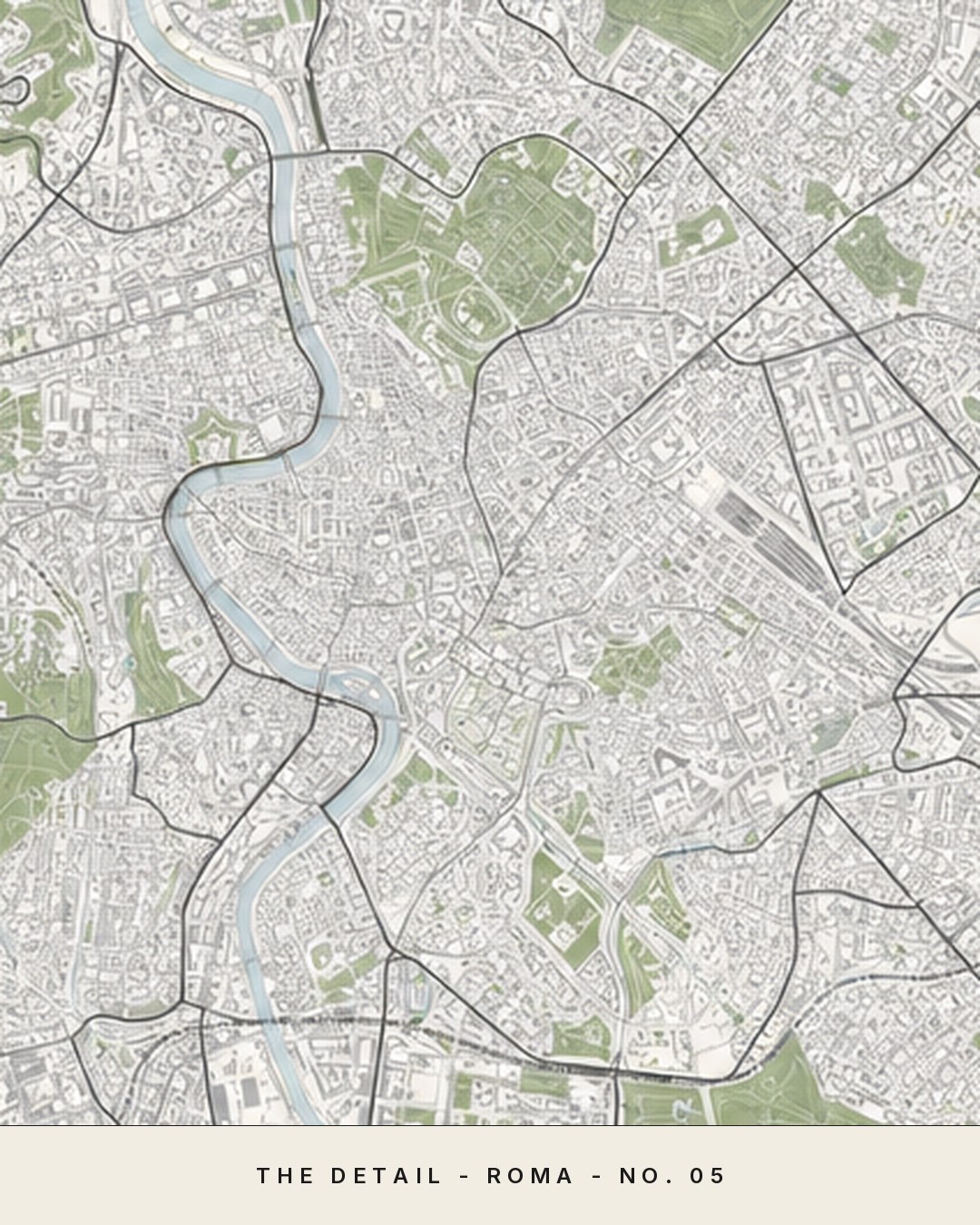 ROMA map detail, close crop of the street grid